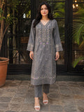 Elegant Grey Embroidered 2-Piece Suit